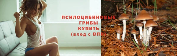PSILOCYBIN Верхний Тагил