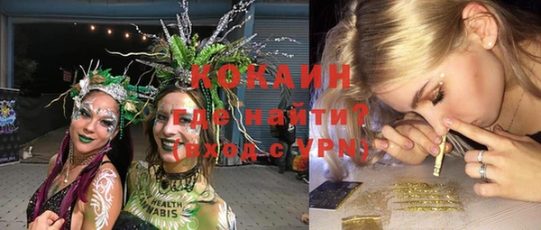 PSILOCYBIN Верхний Тагил