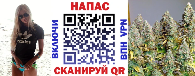 Бошки марихуана OG Kush  Дербент 